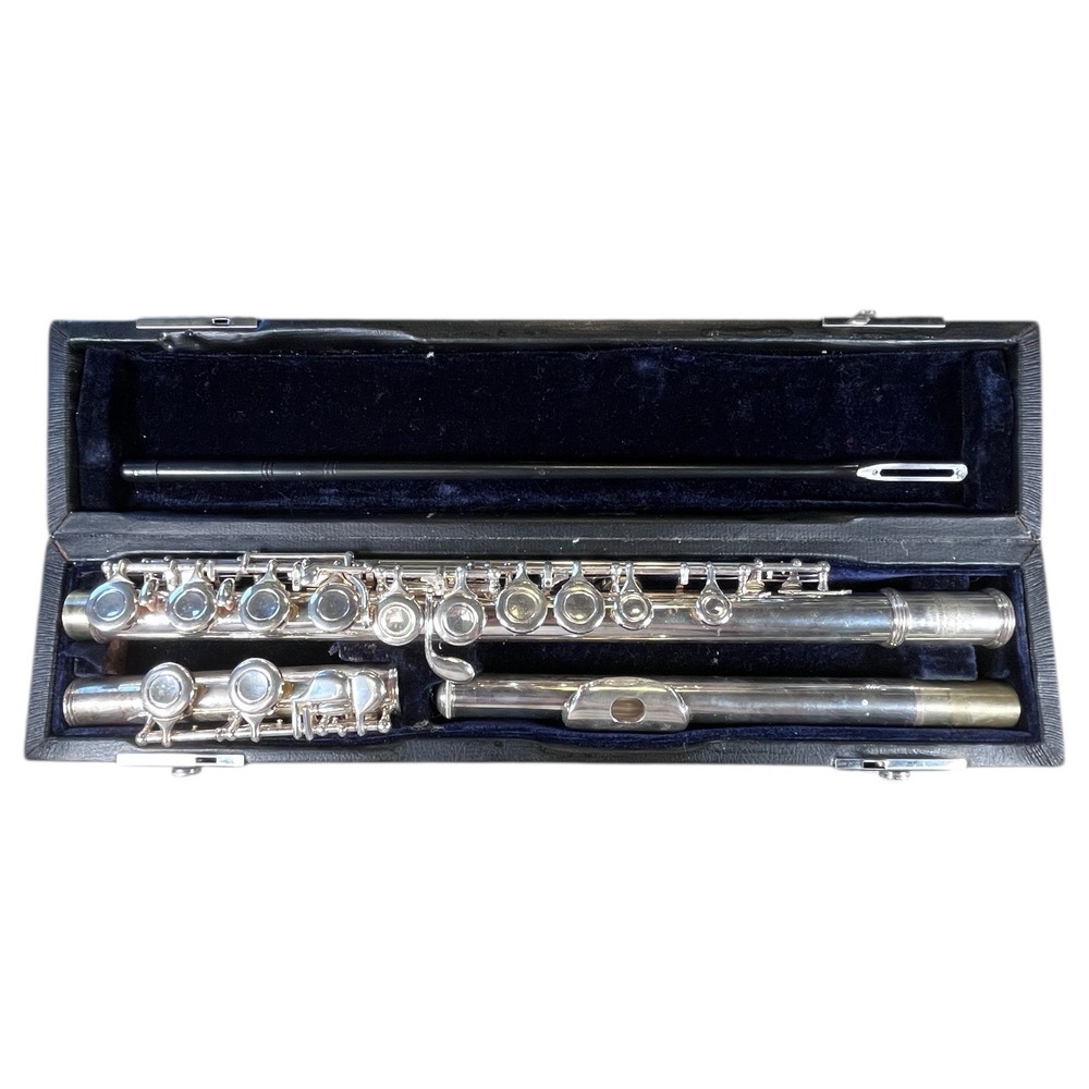 Roy Benson FL-201E Student Flute Silver Plated Closed Hole with Case China